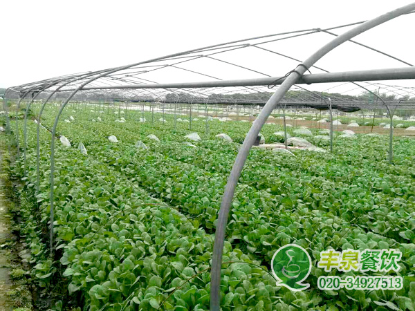 廣州食堂承包公司能給企業(yè)帶來(lái)什么，企業(yè)知道嗎？