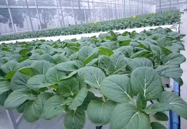 一家優(yōu)秀的食堂承包公司，需要具備哪些條件