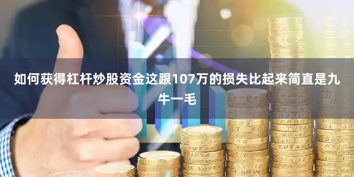 如何获得杠杆炒股资金这跟107万的损失比起来简直是九牛一毛