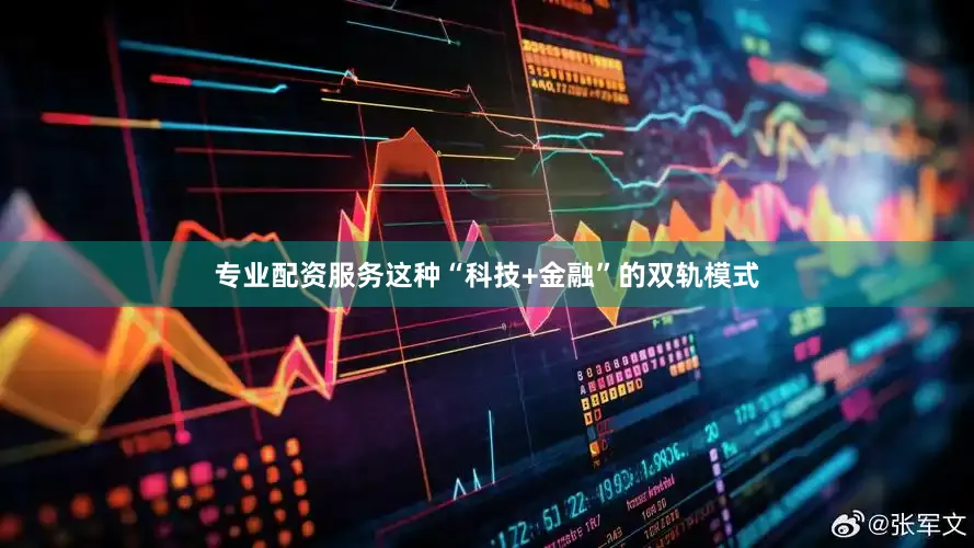 专业配资服务这种“科技+金融”的双轨模式