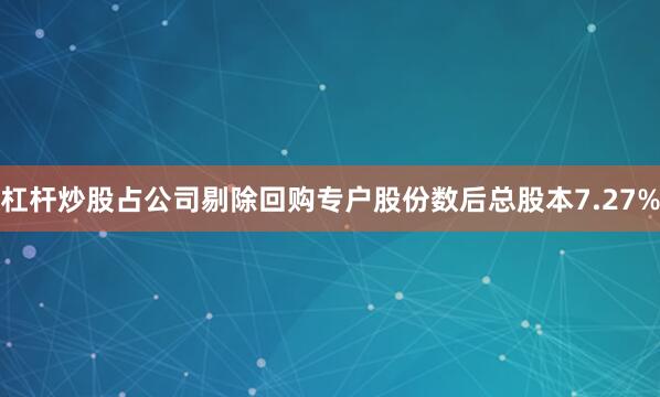 杠杆炒股占公司剔除回购专户股份数后总股本7.27%